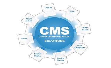 CMS Solution Company in Delhi